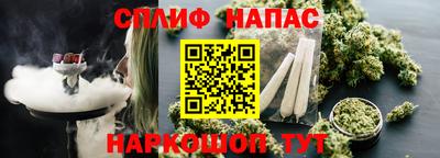 бошки Тула